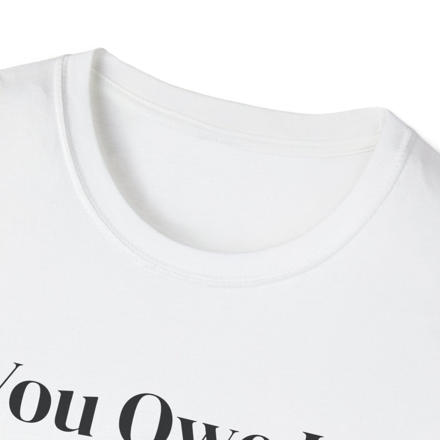 You Owe It To Yourself to chase your dreams, Unisex Softstyle T-Shirt.