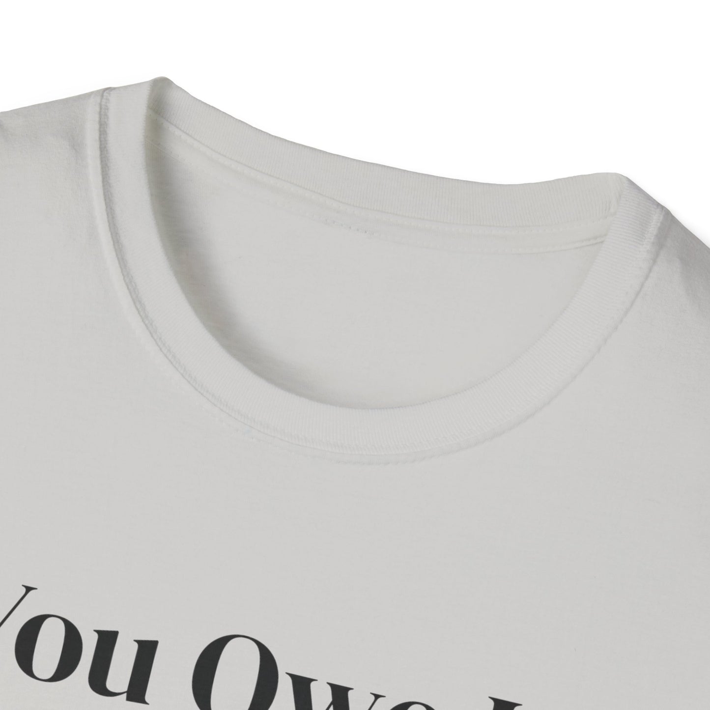 You Owe It To Yourself to chase your dreams, Unisex Softstyle T-Shirt.