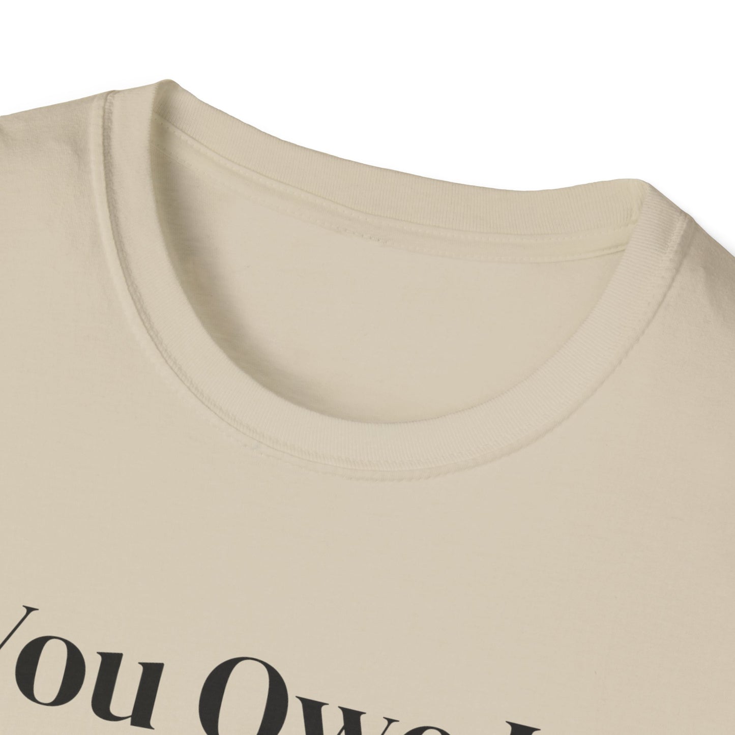You Owe It To Yourself to chase your dreams, Unisex Softstyle T-Shirt.