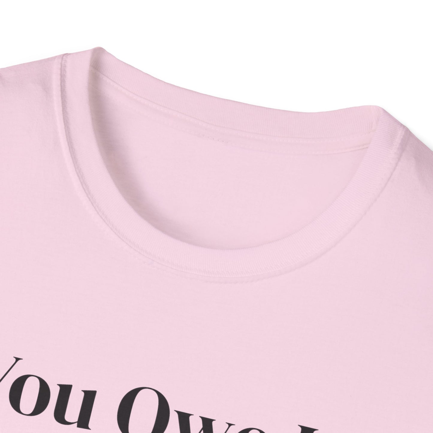 You Owe It To Yourself to chase your dreams, Unisex Softstyle T-Shirt.